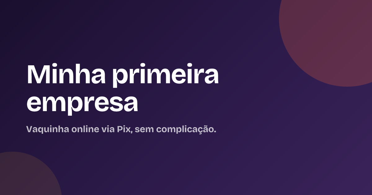 Minha primeira empresa